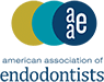 Endodontics Layton D. David G. Johnson, D.D.S.