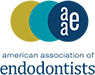 Endodontics Layton D. David G. Johnson, D.D.S.