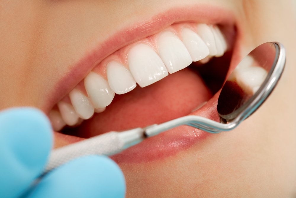Are Teeth Bones? Interesting Facts About Why Teeth Don'T Regenerate teeth bones don't regenerate